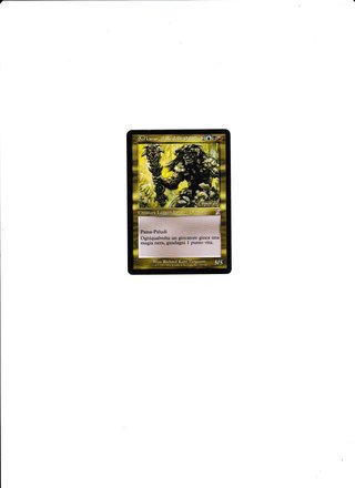 Sol'Kanar, Il Re delle Paludi - Magic Card