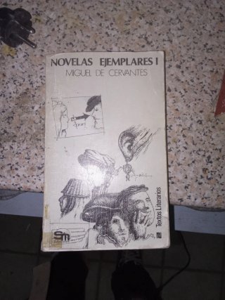 Novelas ejemplares