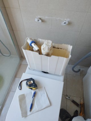 Servicios de Manitas