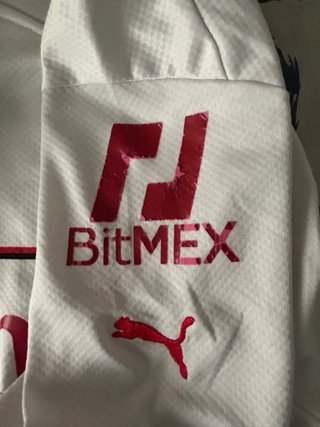 Camiseta AC Milan Puma Emirates Fly Better
