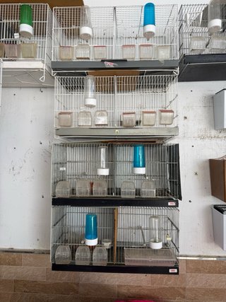 Lote de 14 Jaulas de Cría estan en granada recoger