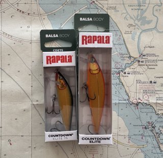 Lote 2 Rapala Countdown Elite 75 y 95 - 371