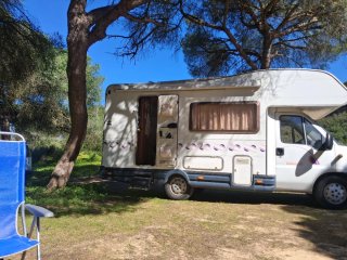 FIAT Ducato 2003
