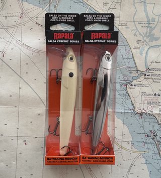 Lote 2 Rapala BX Waking Minnow 13cm - 372