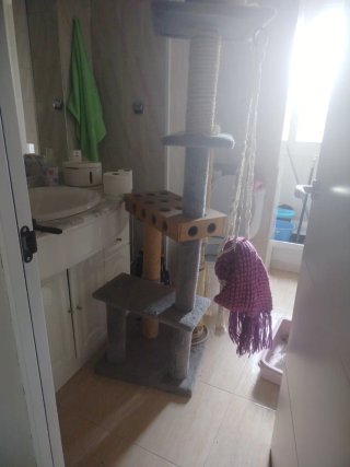 Árbol para gatos con varios niveles
