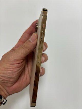 iPhone 13 Pro Max | GARANTÍA | TIENDA