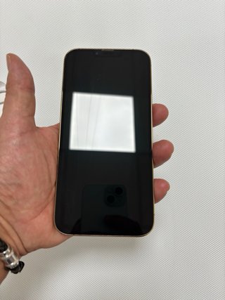 iPhone 13 Pro Max | GARANTÍA | TIENDA