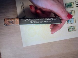 Oráculo de los Animales – cartas del tarot