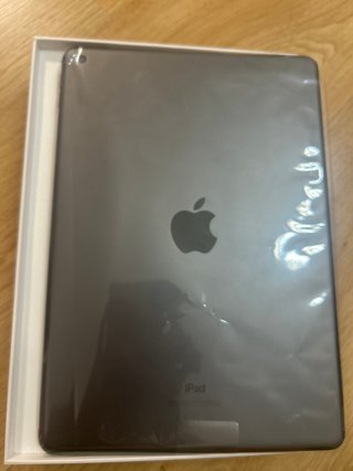 iPad 8ª Generación Plata + apple pencil