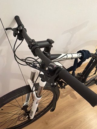 Orbea Alma 29”