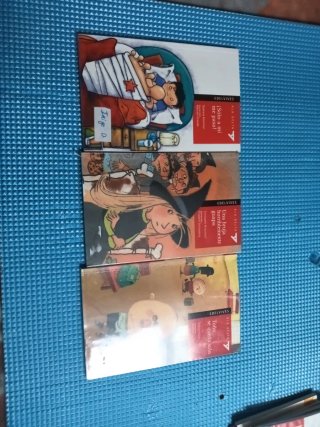 Lote de 14 libros ala delta