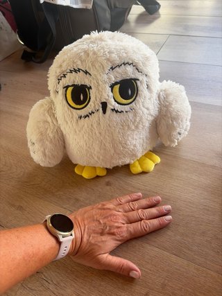 Peluche