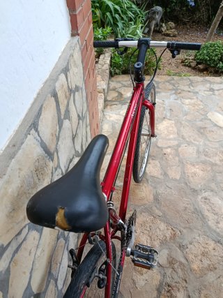 Bicicleta mixta para ciudad