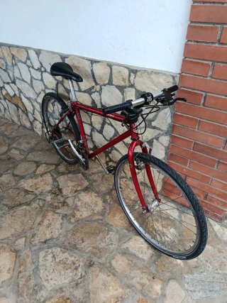 Bicicleta mixta para ciudad