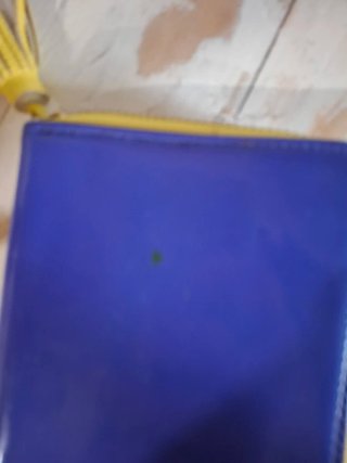 Monedero Purificación García Azul y Amarillo