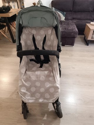 Carrito Bugaboo Camaleón