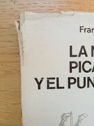 La novela picaresca y el punto de vista
