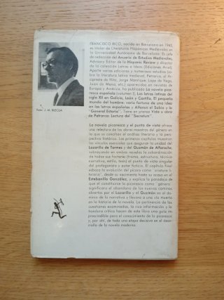 La novela picaresca y el punto de vista