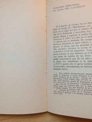 La novela picaresca y el punto de vista