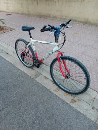 Bicicleta de Montaña Runner
