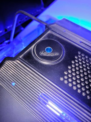 Lámpara acuario LED Maxspect RSX Razor R5F-200