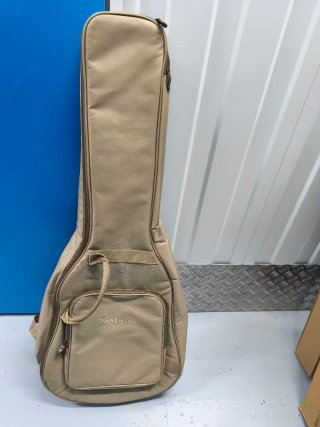 Guitarra Eastman PCH1-OM  con Pastilla Double X2