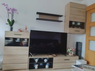 Mueble de comedor madera y cristal