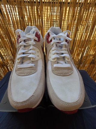 Nike Air Max 90 SE