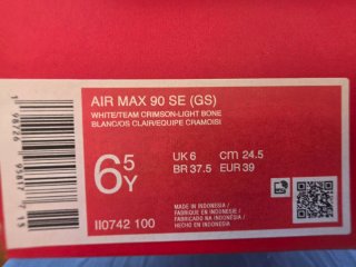 Nike Air Max 90 SE