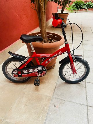 Bicicleta Infantil de 4-6 años.
