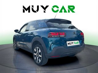 Citroen C4 Cactus PureTech 110 S&S Shine 81 kW (110 CV)