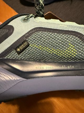 Zapatillas Nike Pegasus 41 Gore-Tex