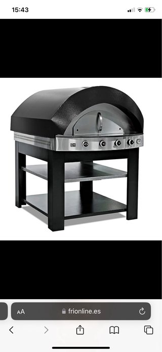 Forno per pizza professionale in pietra