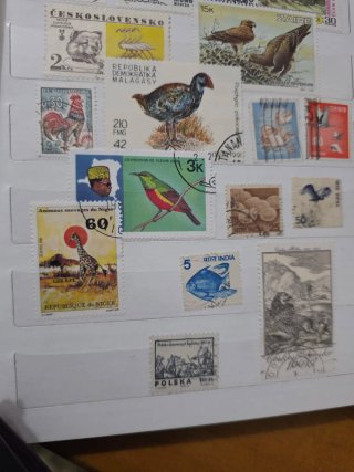 Lotto francobolli fauna selvatica
