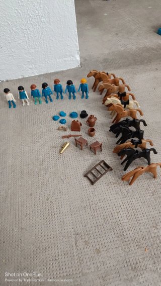 Playmobil 3419 Fuerte Randall