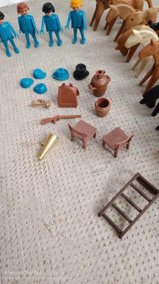 Playmobil 3419 Fuerte Randall