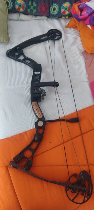 Arco de Poleas Martin SE
