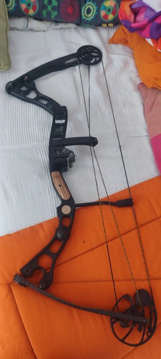 Arco de Poleas Martin SE