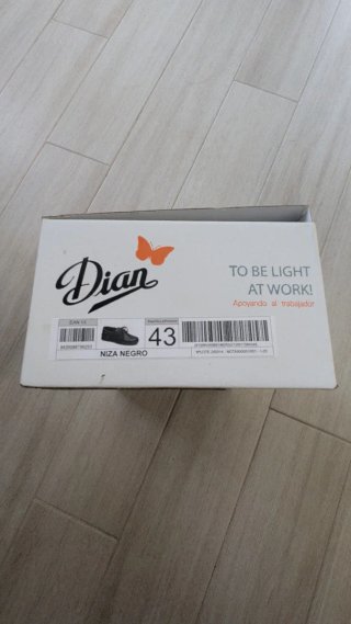 Zapatos profesionales Dian negros