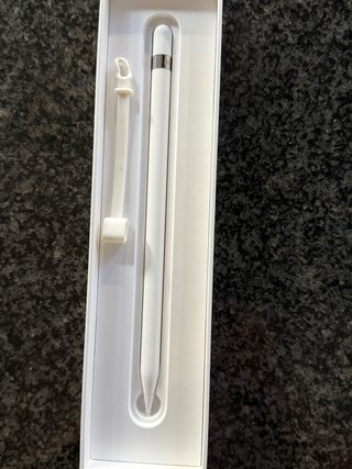 Apple Pencil (Modelo A1603)
