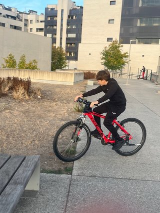 Bicicleta de Montaña Roja