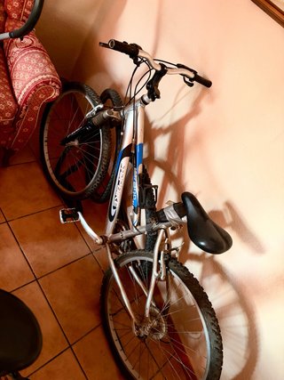 Bicicleta de montaña plateada