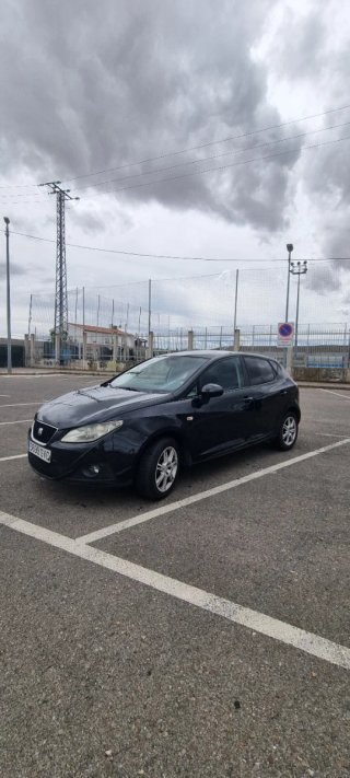 SEAT Ibiza 2010