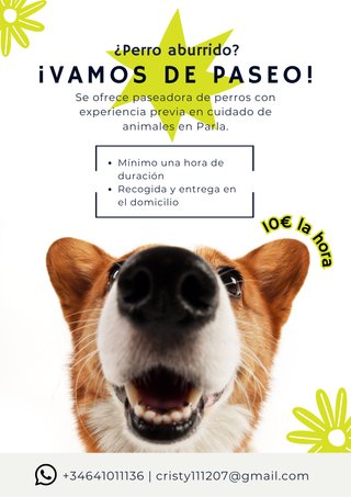 Paseadora de perros