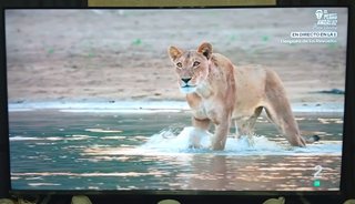 Televisor JVC 70'' LT-70VA6200