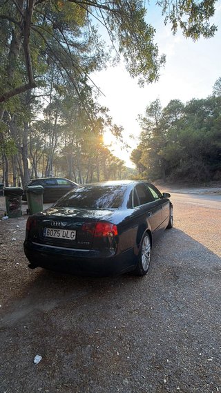Audi A4 2005 2.0 TDI Pegatina B - Stage 2 250cv