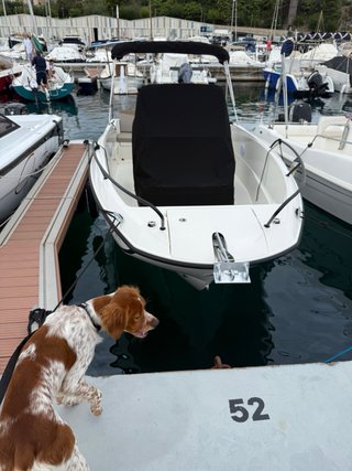 Amarre de 7x2,5m. en Port Marina Palamós