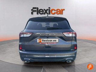 Ford Kuga ST-Line 2.0 EcoBlue 88kW (120CV) Auto