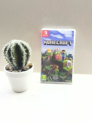 Minecraft Nintendo Switch