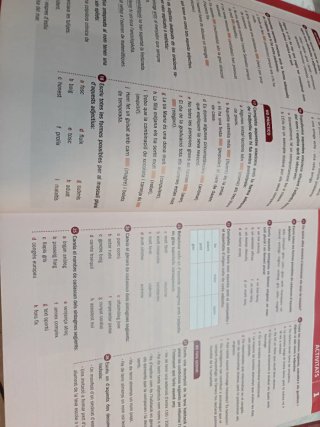 Llengua catalana i literatura, 1 BAT